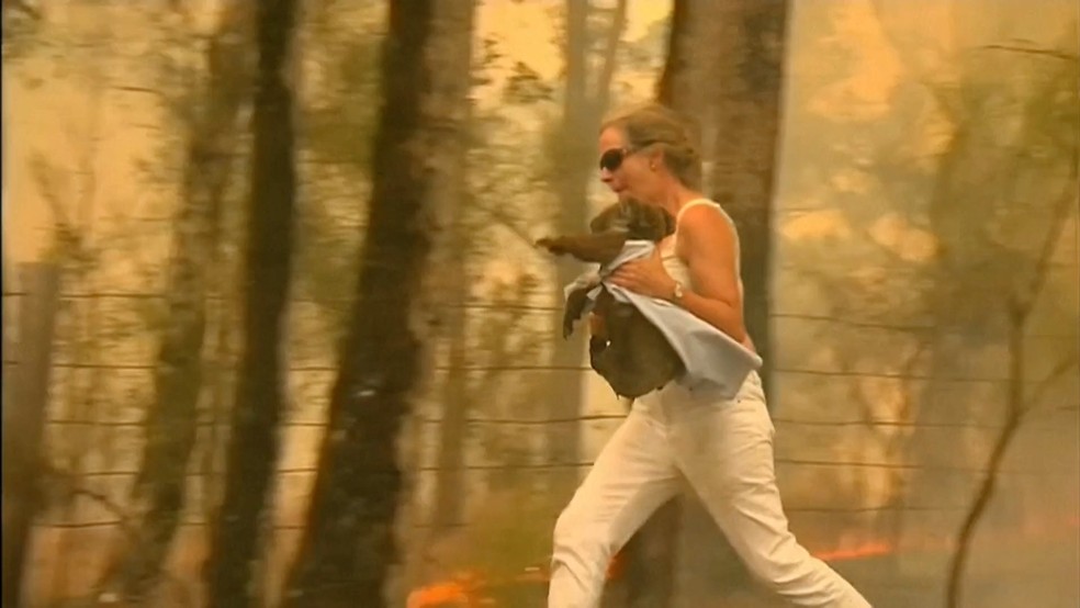 Mulher carrega coala de região atingida por incêndio na Austrália  — Foto: Reprodução/BBC