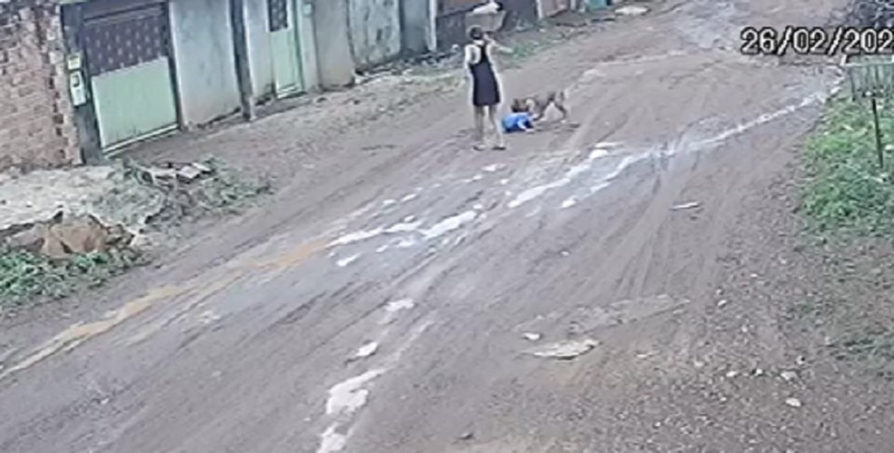 Cachorro derrubou e atacou menino em Palmas — Foto: Reprodução