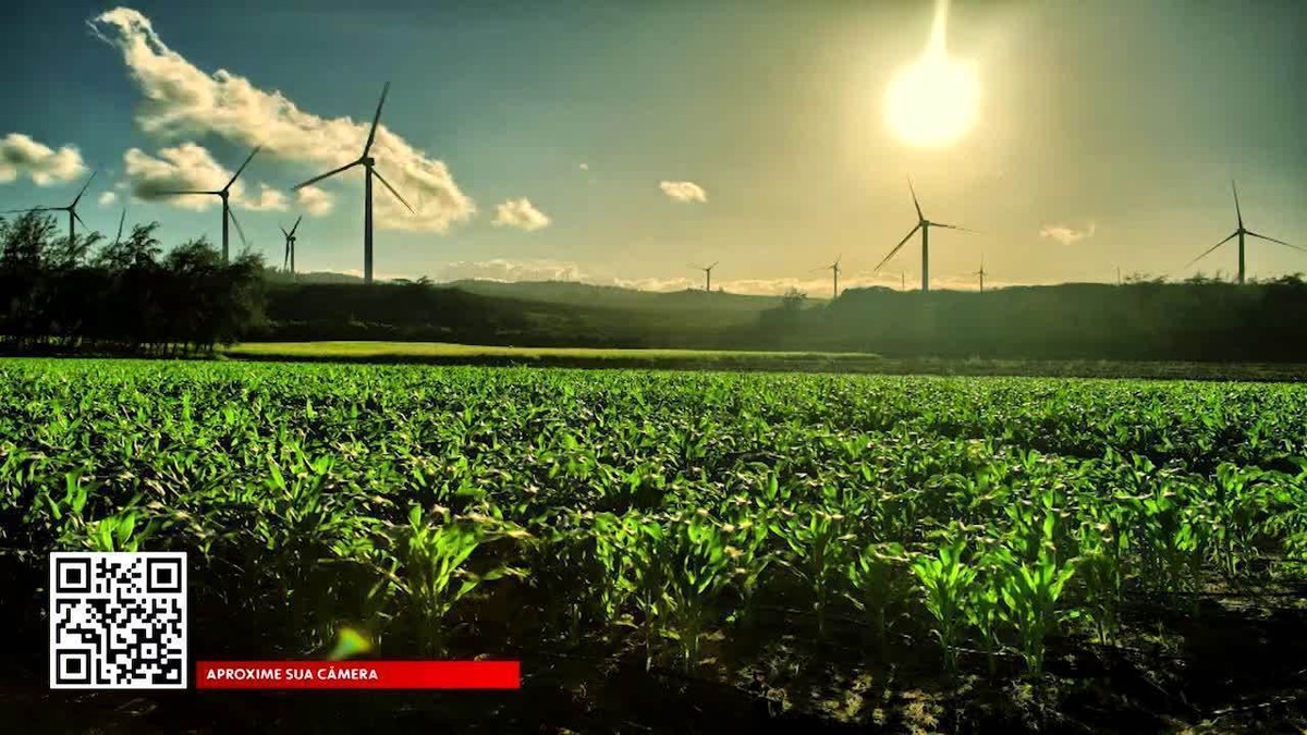 Brasil é um dos maiores produtores de energia renovável do mundo thumbnail