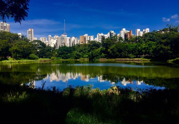 Parque do Ibirapuera em São Paulo (Foto: Paulo Pinto/Fotos Públicas)