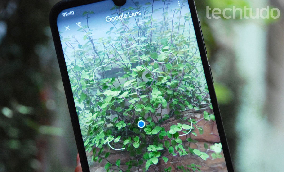 Obediente paciente La Internet Como identificar plantas por fotos com o Google Lens | Produtividade |  TechTudo