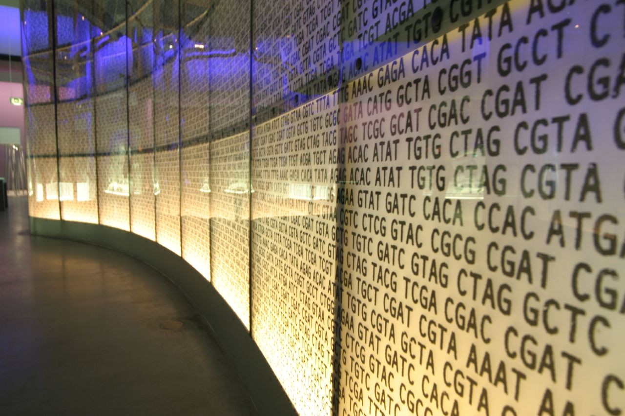 Perfil genético nos bancos não pode ser compartilhado (Foto:  JohnGoode/flickr/Creative Commons)