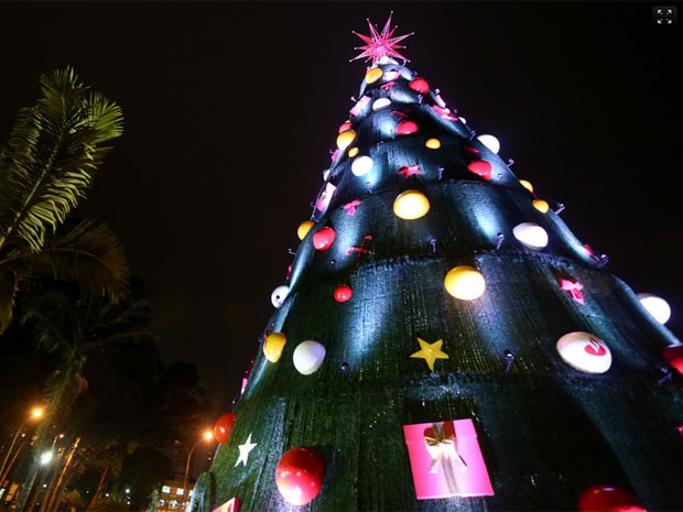 Árvore de Natal do Ibirapuera em 2013 (Foto: Raul Zito/G1)