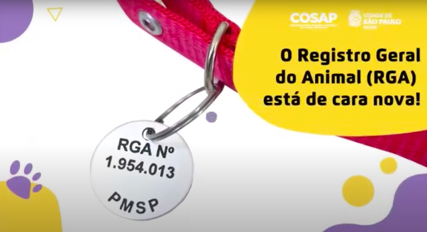O número de identificação do pet também fica gravado numa plaqueta entregue pela Prefeitura para que possa ser colocada na coleira (Foto: Prefeitura de São Paulo/ Reprodução)