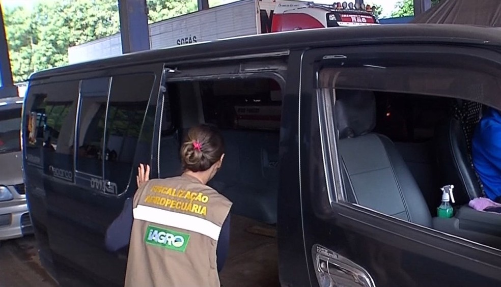 Iagro realiza fiscalização na fronteira para prevenir a entrada da gripe aviária no Brasil. — Foto: FabianodoValle/TVMorena