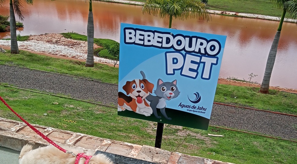 Cachorro na coleira bebe água em bebedouro para pets em Jaú — Foto: Águas de Jahu/Divulgação