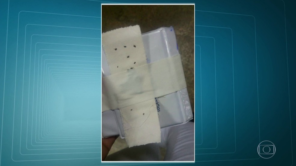 Pulgas encontradas no Hospital Federal dos Servidores do Estado, no Rio de Janeiro. (Foto: Reprodução/ TV Globo)