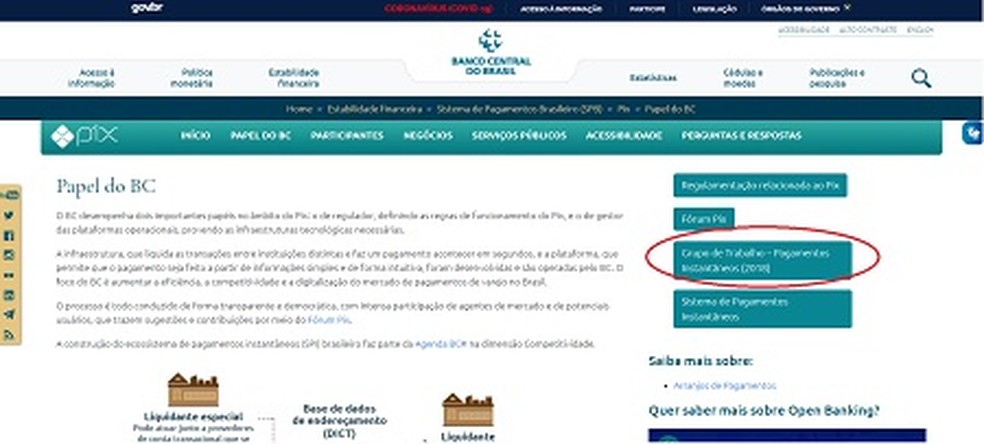 Aba no site do BC destaca grupo de trabalho criado em 2018 ? Foto: Reprodu??o