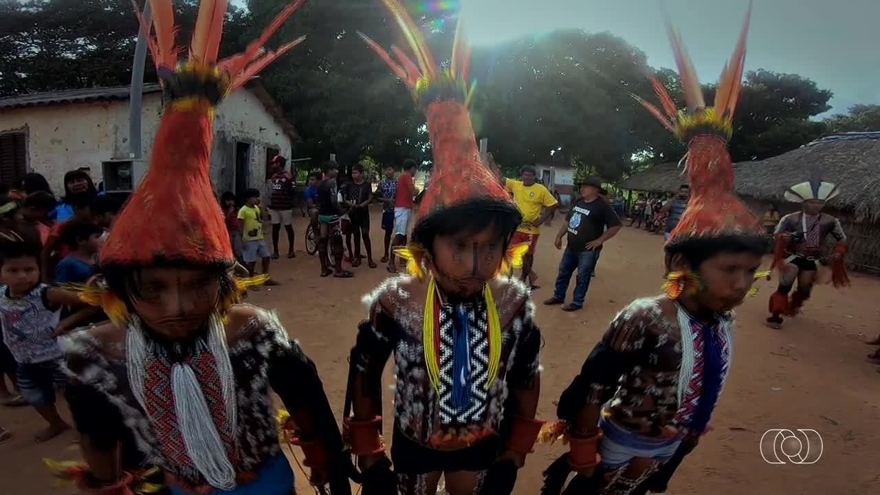 VÍDEOS: Jornal do Campo deste domingo, 13 de fevereiro de 2022