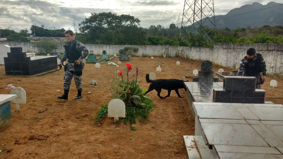 Cão farejador foi usado para descobrir onde estavam as drogas (Foto: Divulgação/Polícia Militar)