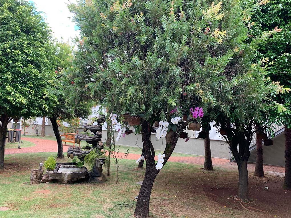 Hospital Madrecor, investe em tratamento do paciente com estímulos ao ar livre