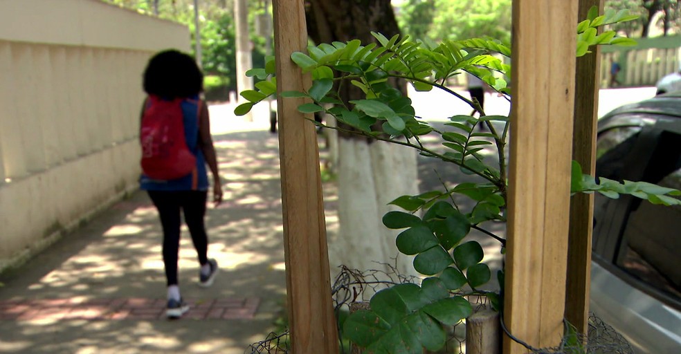 Moradores de São Paulo fazem plantio de árvores no projeto Verdejando — Foto: Reprodução/TV Globo