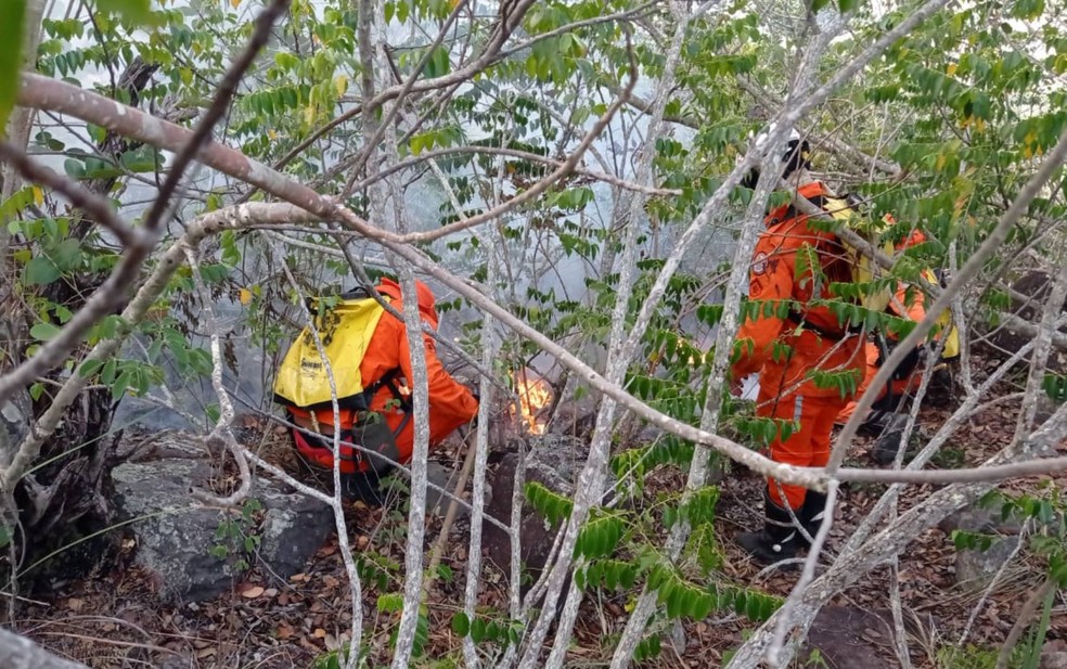 Incêndio atinge serra da Cachoeira do Anibal, no norte da Bahia — Foto: 9º Grupamento de Bombeiros de Juazeiro