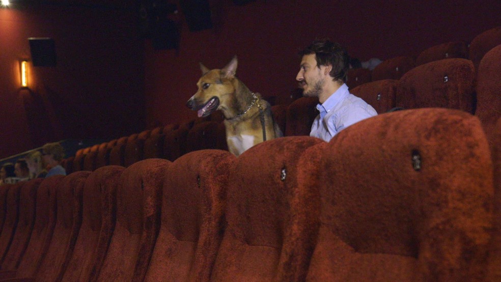 Cães e donos assistem a sessão de cinema juntos em estabelecimento de Londres. (Foto: Reprodução)