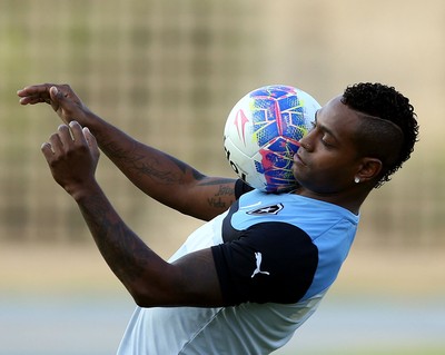 Jobson, Treino Botafogo (Foto: Satiro Sodré / SS Press)