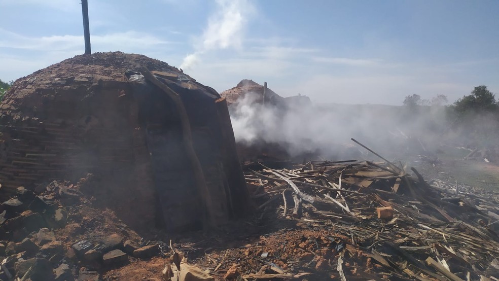 Queima de carvão foi constatada em sítio em Santo Anastácio (SP) — Foto: Polícia Ambiental