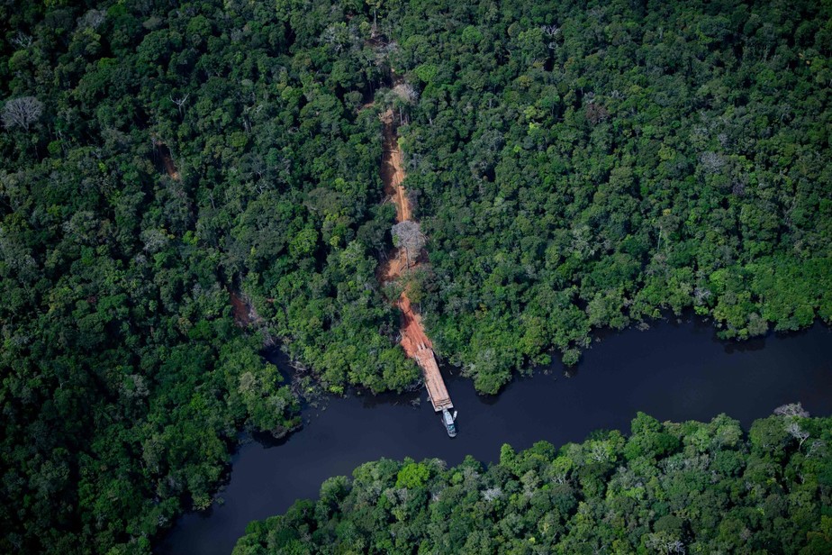 Proteção da Amazônia pode frear aquecimento global