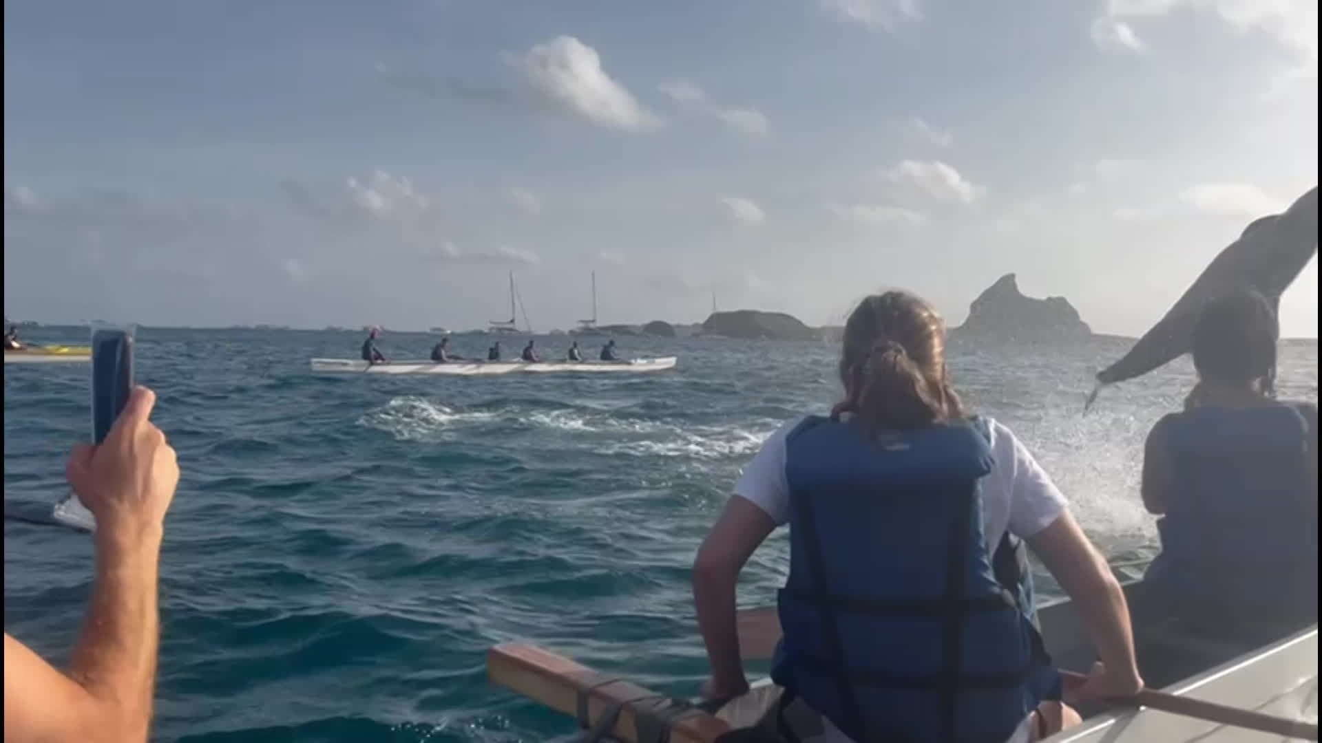 Após golfinho derrubar turista de canoa no mar, capacitação para observação de cetáceos é realizada em Fernando de Noronha