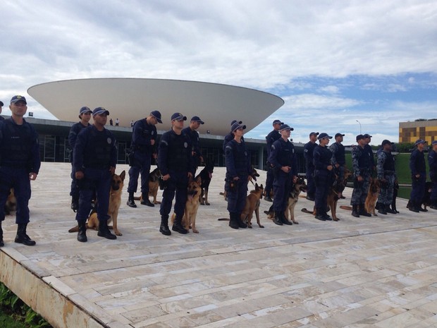 Policiais militares do grupamento com cães ocupam rampa do Congresso Nacional (Foto: Polícia Militar/Divulgação)