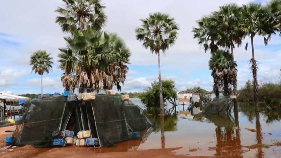 Redes-tanque foram retiradas por falta de peixes em lagoa da zona rural de Parnaíba, no litoral do Piauí — Foto: TV Clube