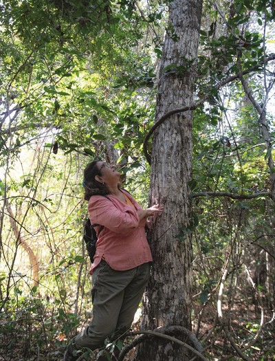 pantanal-pesquisadora-catia-nunes (Foto: José Medeiros/Ed. Globo)