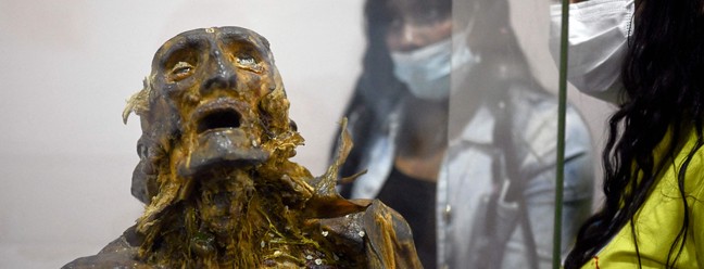 Torso humano mumificado está em exibição em museu em Bogotá — Foto: Juan BARRETO / AFP