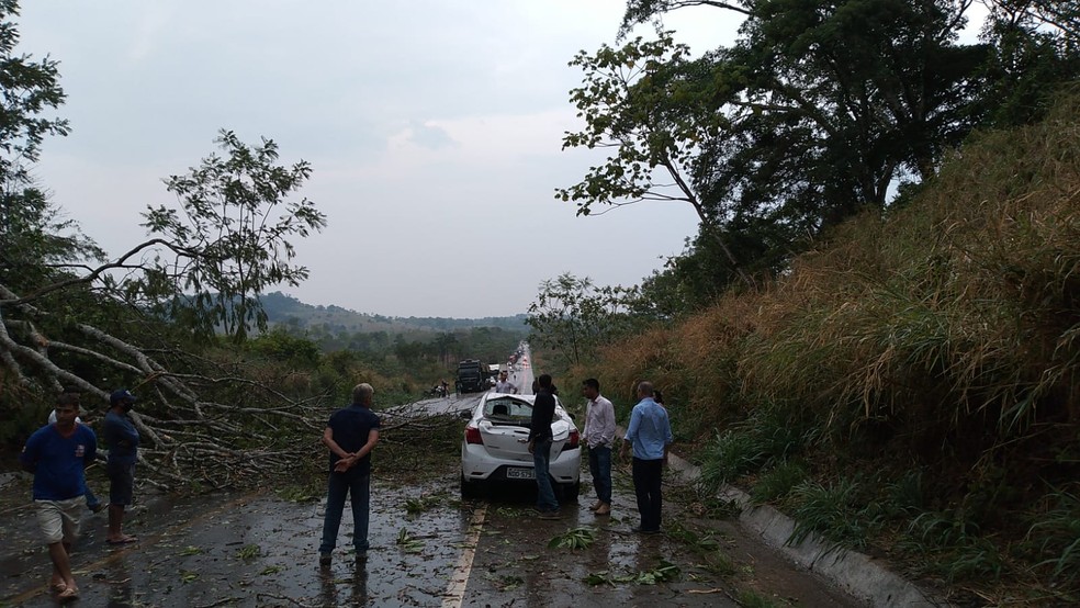 Carro de passeio também foi atingido pela árvore que caiu na BR-364 em Rondônia — Foto: Reprodução/Redes Sociais