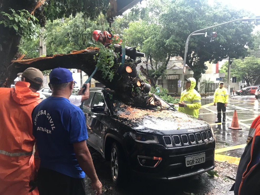 Galho cai e atinge carro na avenida Prudente de Morais, em Natal  (Foto: Italo Di Lucena/Inter TV Cabugi)