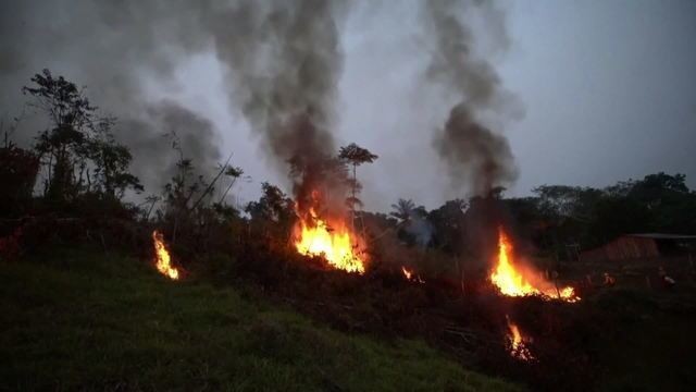 Amazônia: área quatro vezes maior que a cidade de SP está sob risco de queimada na temporada do fogo, diz Ipam thumbnail