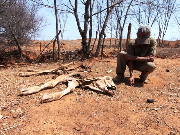 Agricultor se emociona ao se deparar com mais um animal morto em sua propriedade (Foto: Geraldo Humberto / Inter TV)