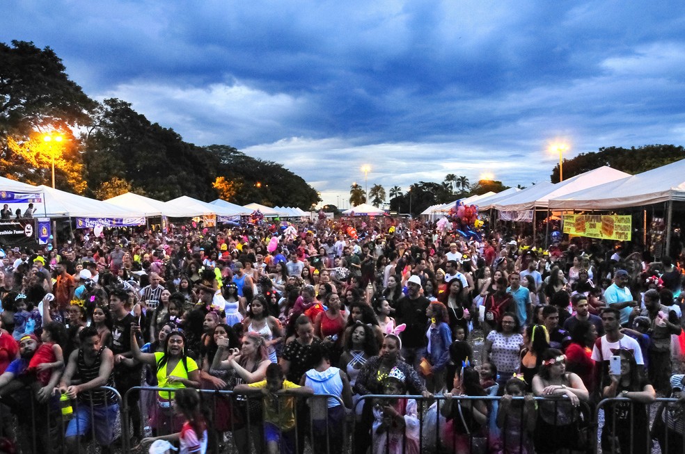 Carnaval em Brasília — Foto: Secretaria de Cultura do DF/Divulgação