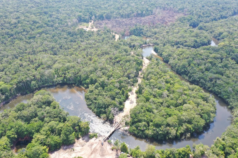 PF destrói ponte clandestina usada para retirar madeira ilegal de área de preservação em RO — Foto: PF/Reprodução