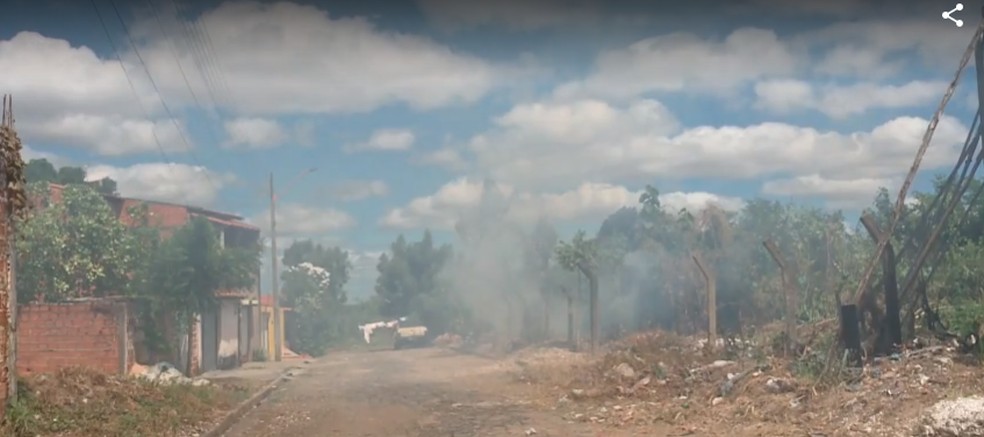 Piauí já registrou 382 focos de incêndio em terrenos e vegetação — Foto: Reprodução/TV Clube