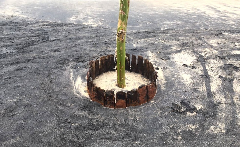 Barril foi encontrado enterrado em praia de Guarujá, SP (Foto: Solange Freitas/G1)