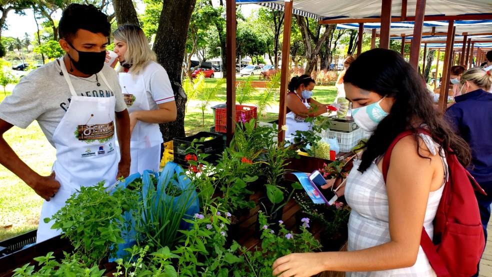 Feirinha é aberta à comunidade e funciona às quartas-feiras — Foto: Assecom/Governo Cidadão