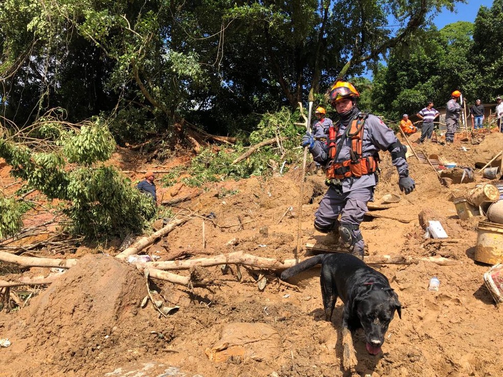 Cães auxiliam bombeiros nas buscas por soterrados no Morro da Barreira do João Guarda, em Guarujá — Foto: Paula Paiva Paulo/G1