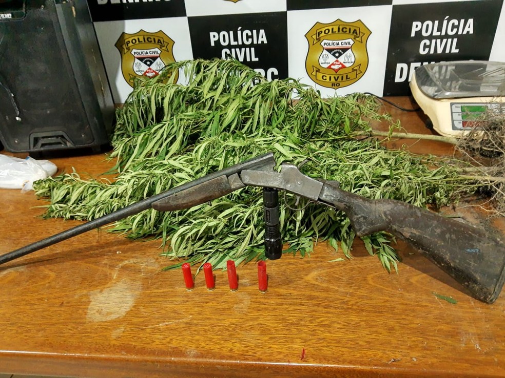 Além dos pés de maconha foi encontrado uma espingarda no sítio, que era usado de esconderigo pelo suspeito — Foto: Divulgação/Denarc