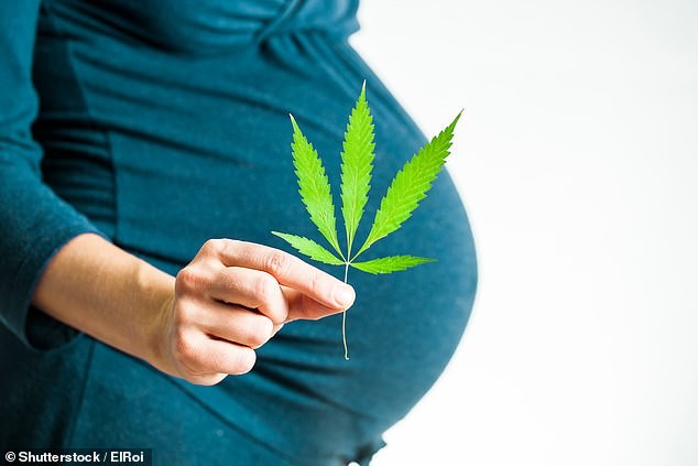 Maconha na gravidez aumenta risco de prematuridade, afirma estudo (Foto: Shutterstock)