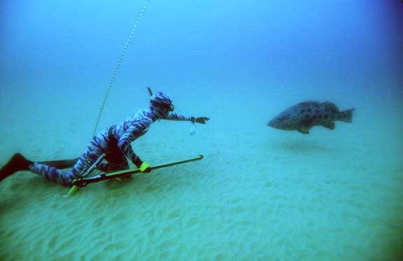 Mergulhador e pescador Francisco Loffredi campeão mundial de pesca submarina no mar (Foto: Arquivo Pessoal)