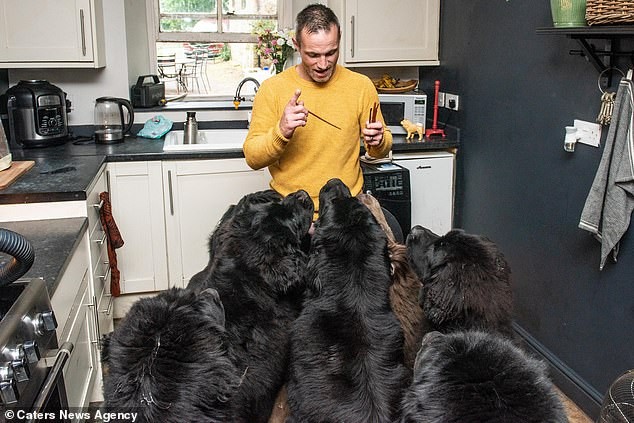 Mark com os animais na cozinha (Foto: Reprodução/Daily Mail)