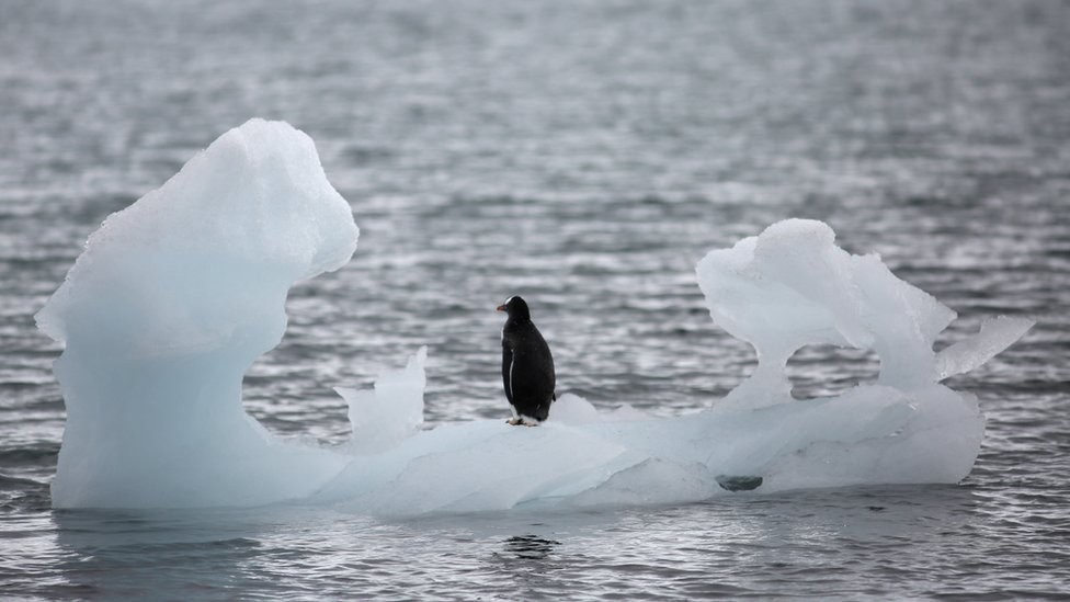 Península Antártica registra 18,3ºC, recorde de temperatura thumbnail