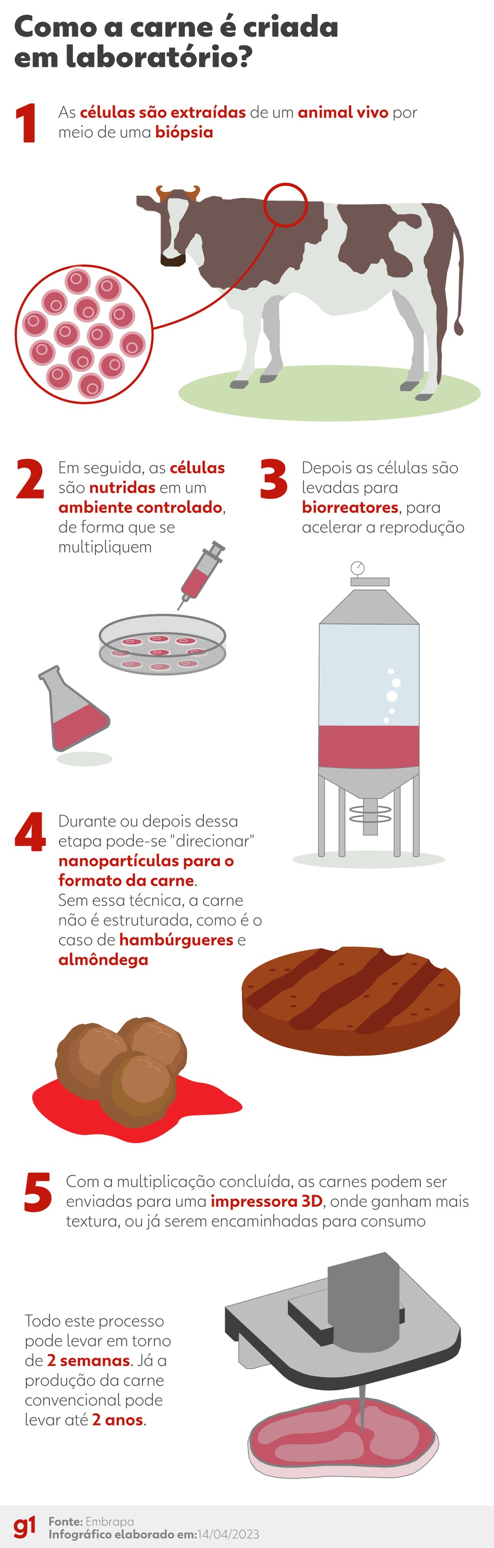 Entenda o processo de produzir carne cultivada — Foto: Bernardo Soares/Arte g1