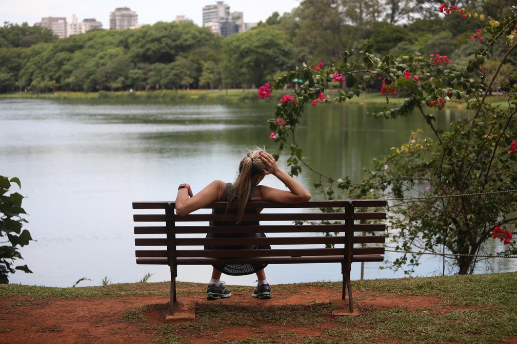 Movimentação de pessoas no parque do Ibirapuera, na zona sul de São Paulo (SP), nesta segunda-feira (29).  — Foto: Renato S. Cerqueira/Futura Press/Estadão Conteúdo