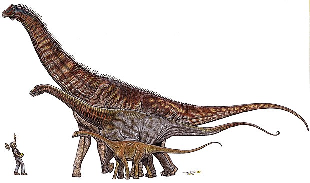 Ilustração retrata dimensões do 'Austroposeidon magnificus' perto de dinossauros menores (Foto: divulgação)