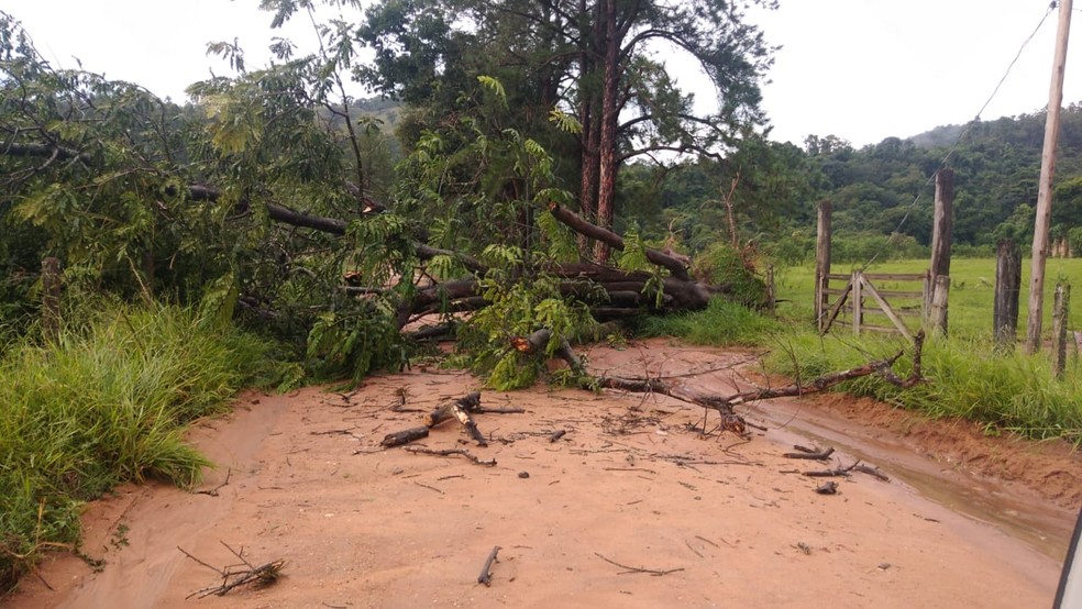 Chuva com ventos também deixa estragos em Cachoeira de Minas — Foto: Defesa Civil
