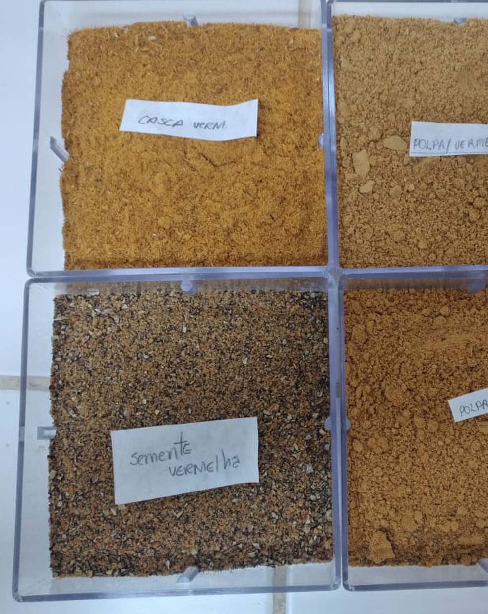 Estudo identificou capacidade de filtragem de raios solares no óleo extraído da semente de pupunha — Foto: Arquivo pessoal