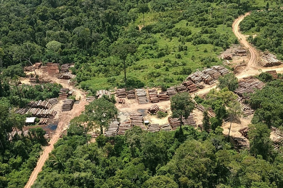 Ãrea de desmatamento ilegal descoberta apÃ³s monitoramento via satÃ©lite. (Foto: Ibama/DivulgaÃ§Ã£o)