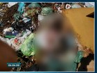 No CE, dois corpos de bebês são encontrados em lixão em Baturité