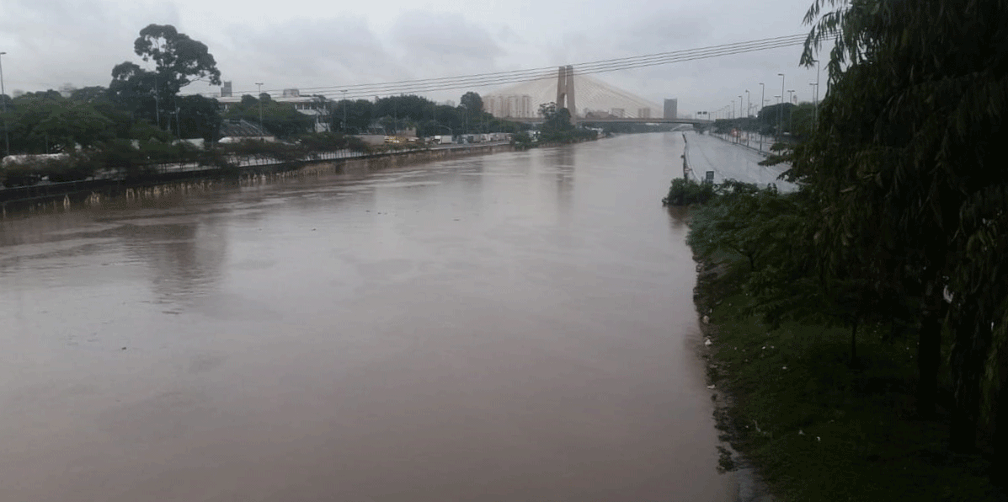 Rio Tietê transbordou por conta das fortes chuvas em SP — Foto: Tatiana Santiago/G1