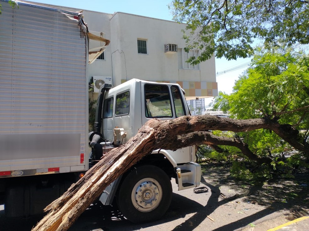 Segundo o Corpo de Bombeiros, o caminhão enroscou na árvore — Foto: Fábio Cristovam/Cedida